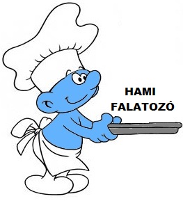 Hami Falatoz